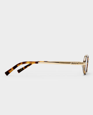 The Sage - Crystal Tortoise