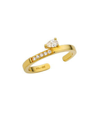 RING - SHINY PRECIOUS