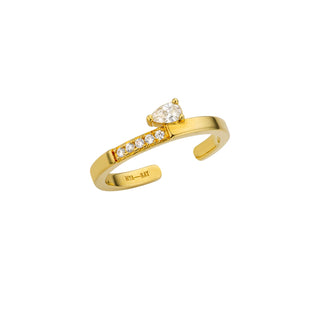 RING - SHINY PRECIOUS