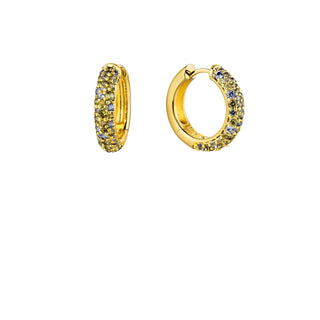 Earrings - Grey Champagne