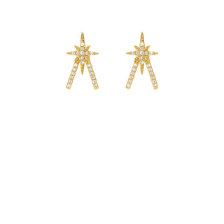 Earrings - Diwali Bird