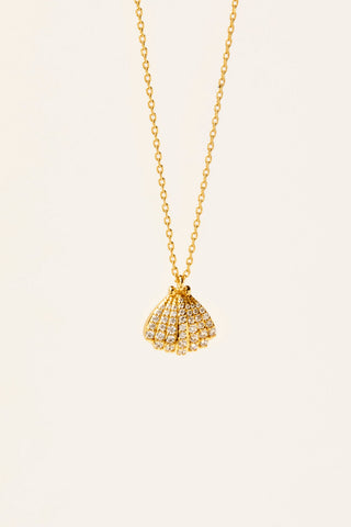 Necklace - Shell