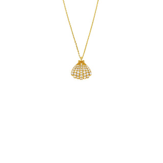 Necklace - Shell