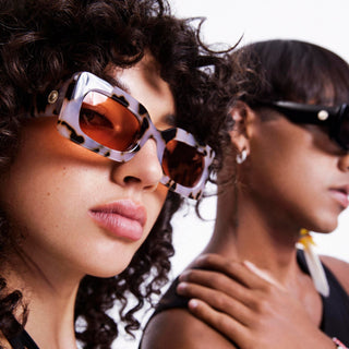 Oh Damn  Cookie Tortoise