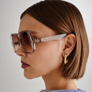 Polydisco Eucalyptus Brown Gradient