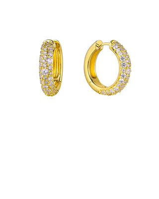 Earrings - Champagne