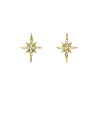 Earrings - Diwali