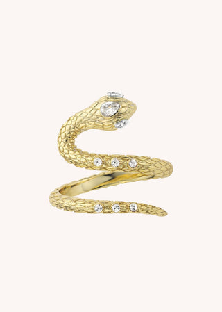 Ring White Snake