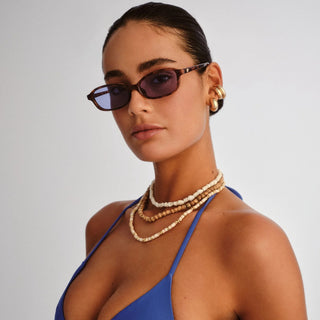 Honey Pot | Amber Tortoise