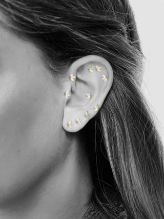 PIERCING - MAGNOLIA