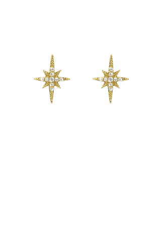 Earrings - Diwali