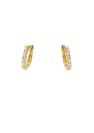 Earrings - Delhi