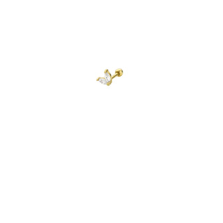 Piercing - Little Kyoto