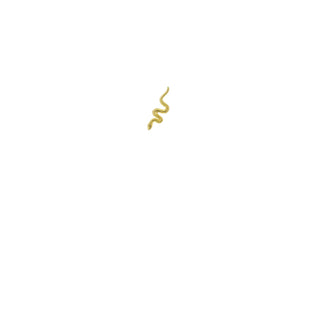 Piercing - Serpiente